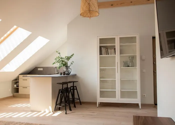 #Stayhere - Brand New Authentic Pilies Studios - Heart Of Old Town Vilnius